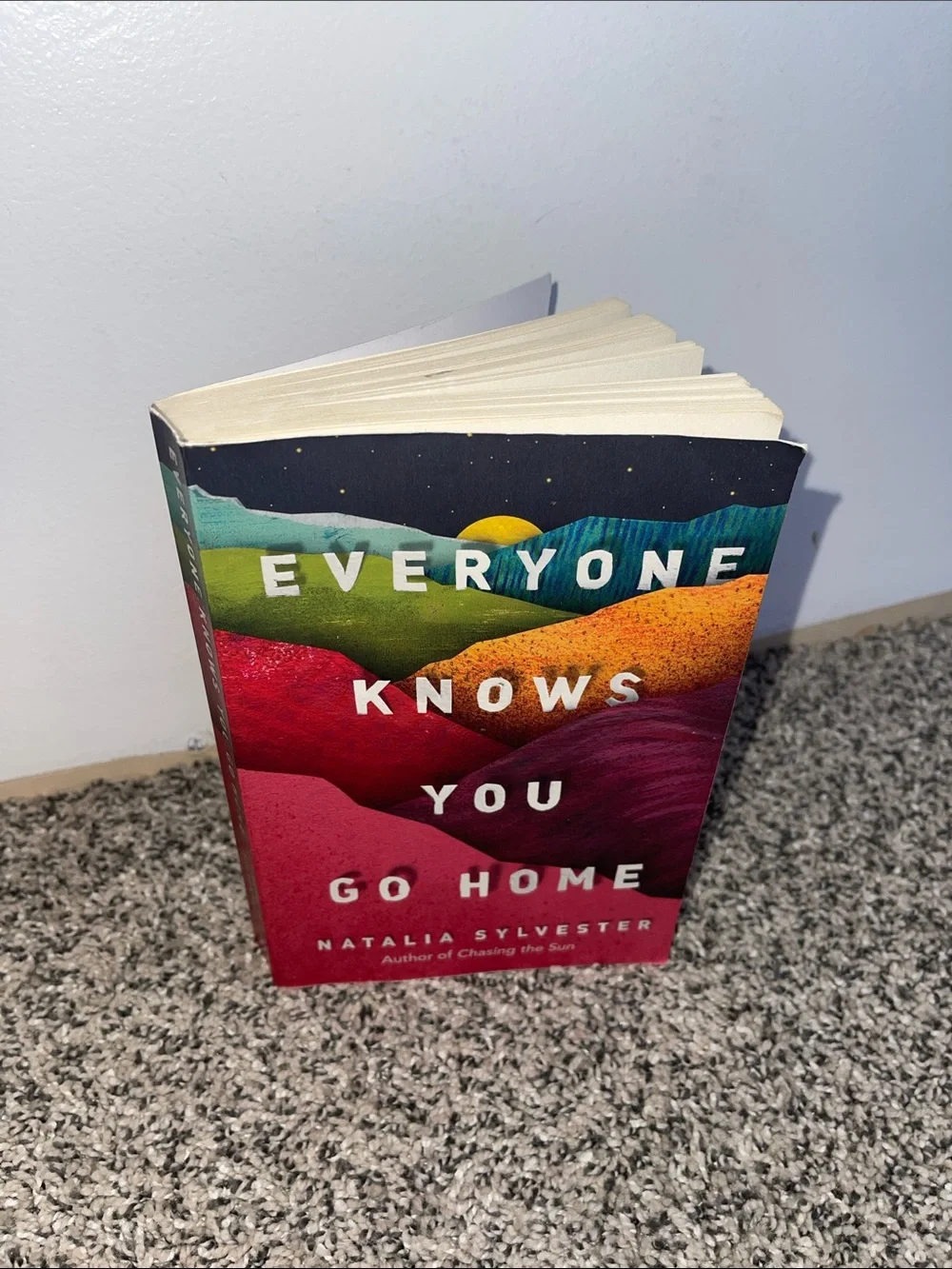 Paperback book: Everyone knows you go home by Natalie Sylvester